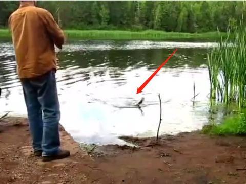 钓鱼爆料视频最新版,揭秘钓鱼技巧与陷阱